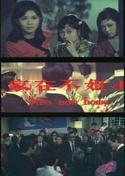 小姐不在家,揭秘神秘宅邸的秘密生活